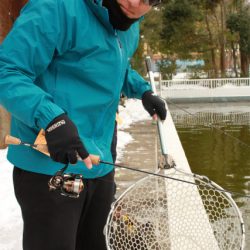 としまえんフィッシングエリア 釣果