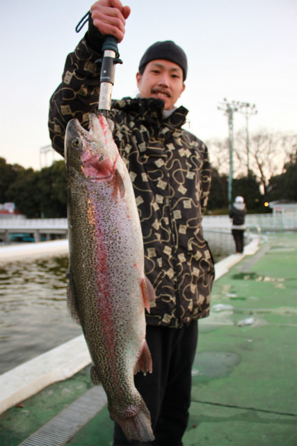 としまえんフィッシングエリア 釣果