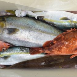 渡船屋たにぐち 釣果