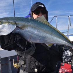 渡船屋たにぐち 釣果