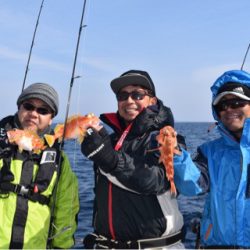 渡船屋たにぐち 釣果