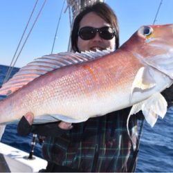 渡船屋たにぐち 釣果