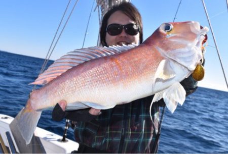渡船屋たにぐち 釣果