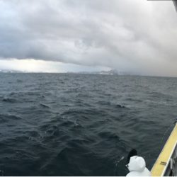 シーランチ 釣果