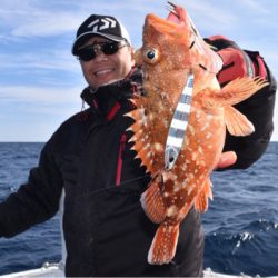 渡船屋たにぐち 釣果