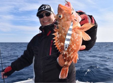 渡船屋たにぐち 釣果