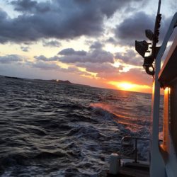 渡船屋たにぐち 釣果