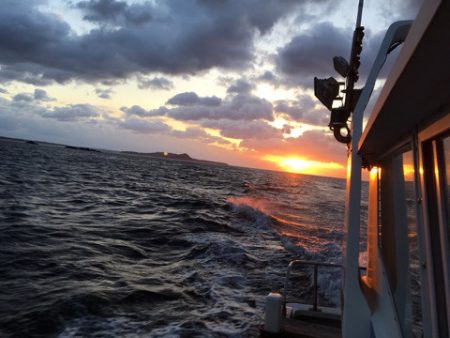 渡船屋たにぐち 釣果