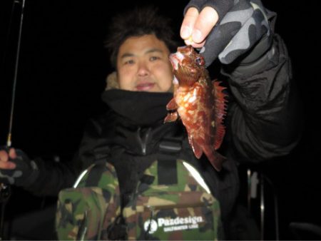 Chase（チェイス） 釣果