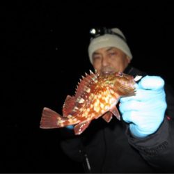 Chase（チェイス） 釣果