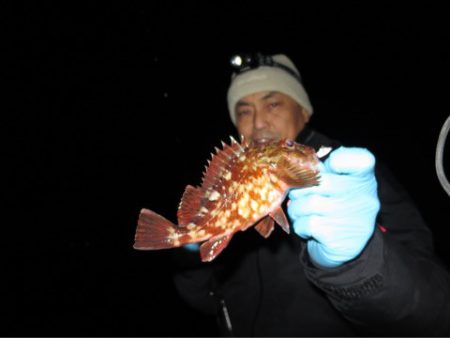 Chase（チェイス） 釣果