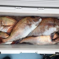 第二八坂丸 釣果