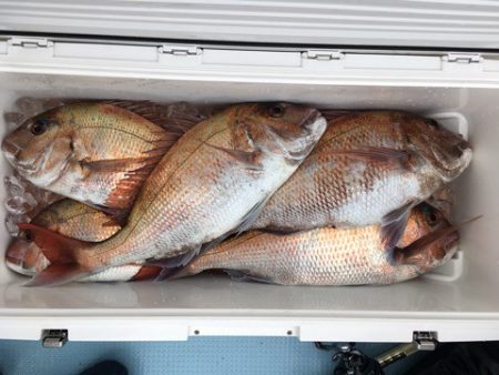 第二八坂丸 釣果