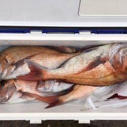 第二八坂丸 釣果