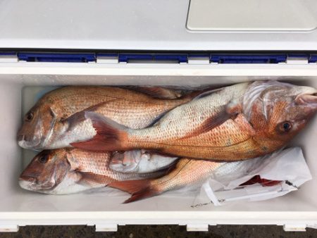 第二八坂丸 釣果