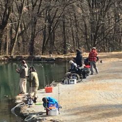 白州トラウトフィッシングエリア　シルフ 釣果