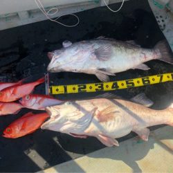 ＴＡＲＯＭＡＲＵ 釣果