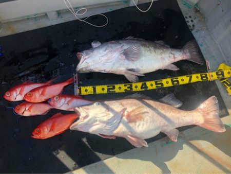 ＴＡＲＯＭＡＲＵ 釣果