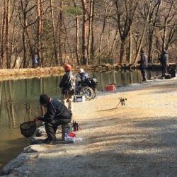 白州トラウトフィッシングエリア　シルフ 釣果