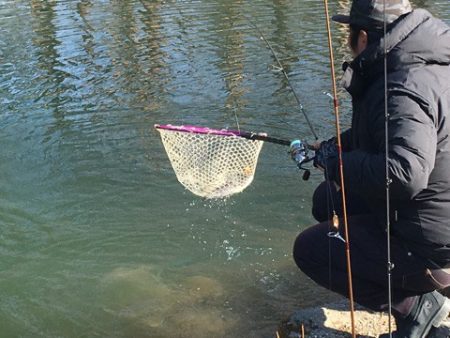 白州トラウトフィッシングエリア　シルフ 釣…