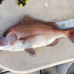 末広丸(熊本) 釣果