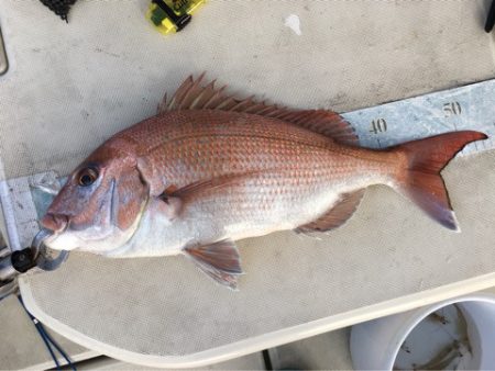 末広丸(熊本) 釣果
