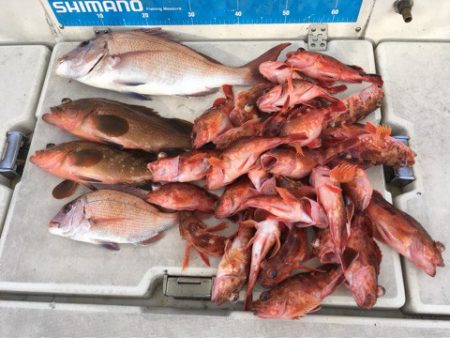 末広丸(熊本) 釣果