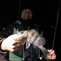 Chase（チェイス） 釣果