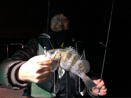 Chase（チェイス） 釣果