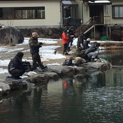 白州トラウトフィッシングエリア　シルフ 釣果