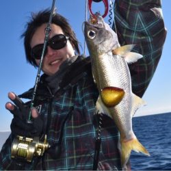 渡船屋たにぐち 釣果