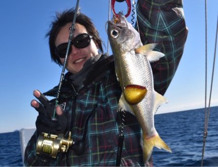 渡船屋たにぐち 釣果