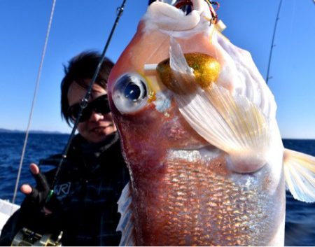 渡船屋たにぐち 釣果