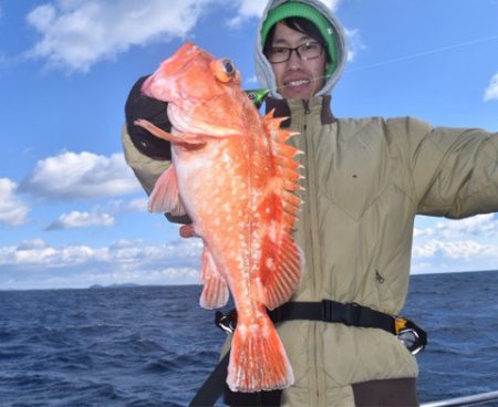 渡船屋たにぐち 釣果