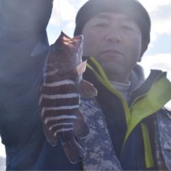 渡船屋たにぐち 釣果