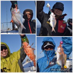 渡船屋たにぐち 釣果