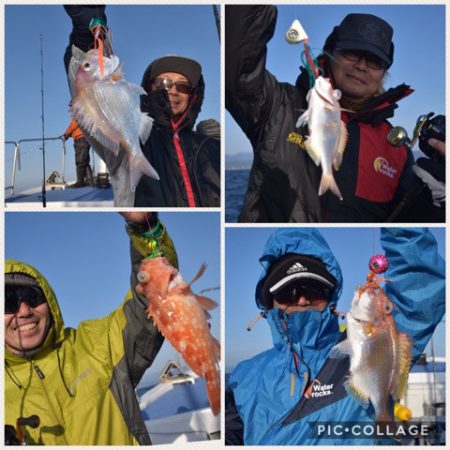 渡船屋たにぐち 釣果