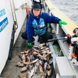 シーランチ 釣果