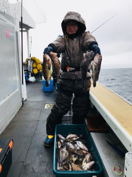 シーランチ 釣果