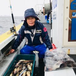 シーランチ 釣果