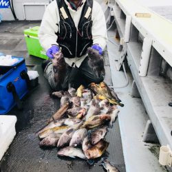 シーランチ 釣果