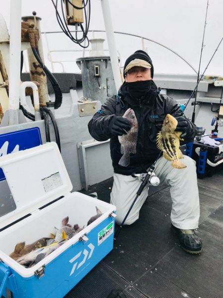 シーランチ 釣果