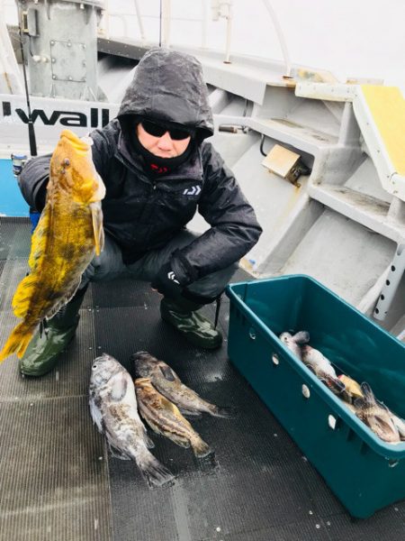 シーランチ 釣果