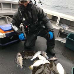 シーランチ 釣果
