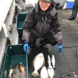 シーランチ 釣果