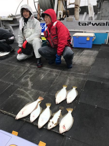 シーランチ 釣果