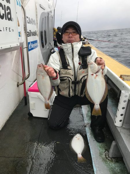 シーランチ 釣果