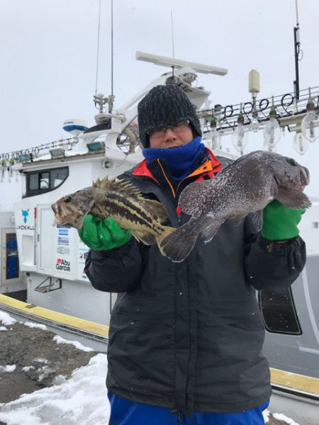 シーランチ 釣果
