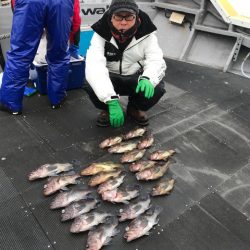 シーランチ 釣果