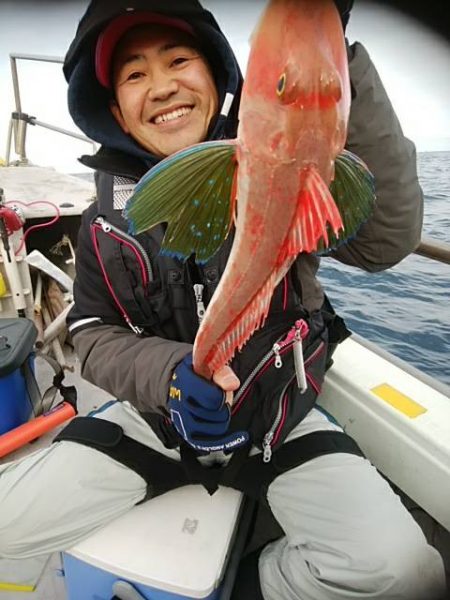 海季丸(みきまる) 釣果